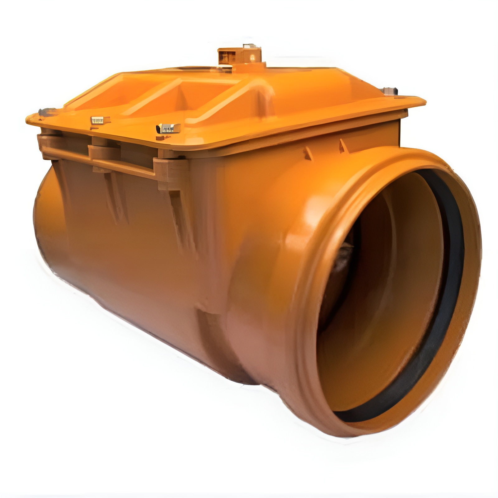 Обратный клапан D200 (1)