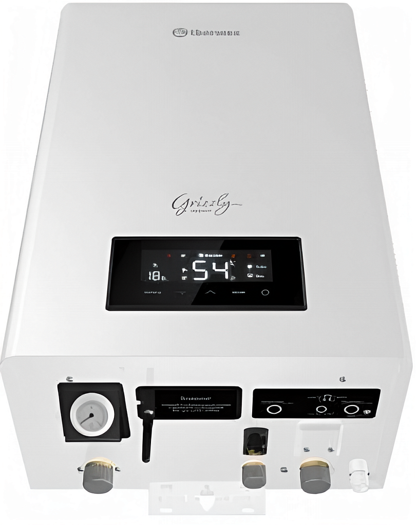 Thermex Электрический настенный котел  Grizzly 5-12 Wi-Fi