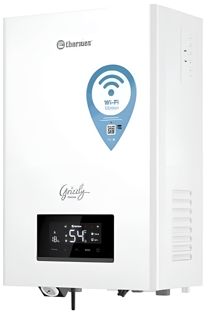 Thermex Электрический настенный котел  Grizzly 5-12 Wi-Fi